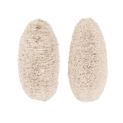 položky Luffa malá bielená 50 ks