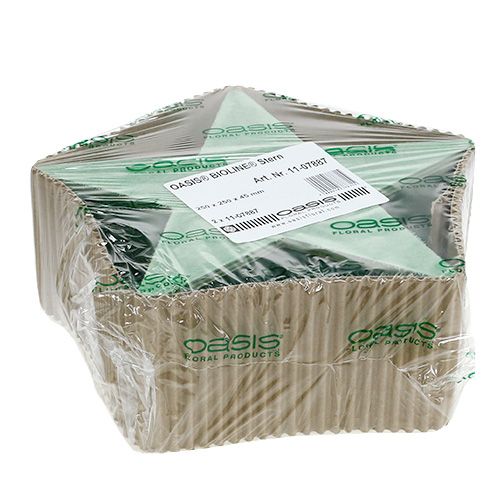 položky Mokrá kvetinová penová hviezda na aranžmány 25 x 25 x 4,5 cm