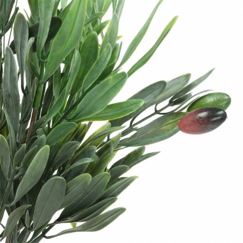 Floristik24 Umelá olivová ratolesť zelená 27 cm 7 prameňov