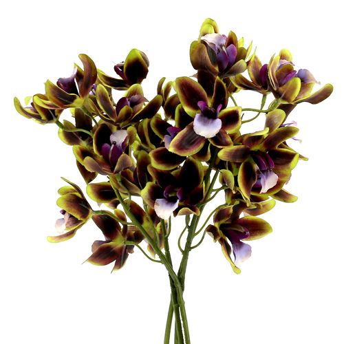 Floristik24 Orchidea Cymbidium zelená, fialová L38cm 4ks