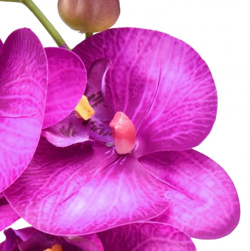 položky Orchidea Umelá Phalaenopsis 4 kvety Fuchsia 72cm