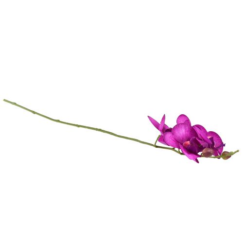 položky Orchidea Umelá Phalaenopsis 4 kvety Fuchsia 72cm