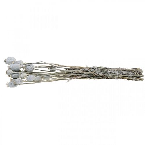 Floristik24 Deco Mak Biele Sušené kvety Makové kapsuly Papaver Zväzok 75g