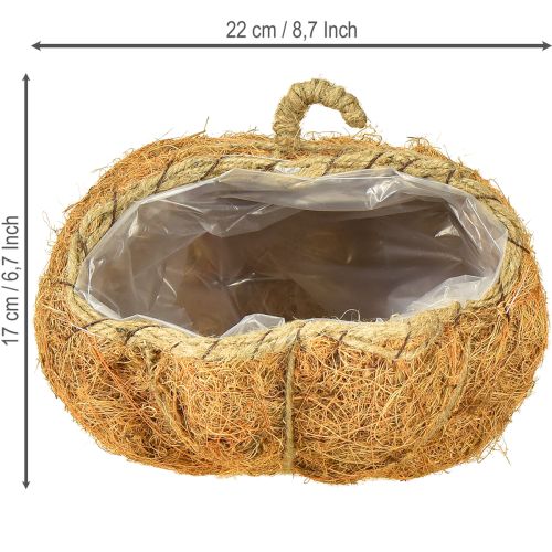 položky Kôš na rastliny tekvica jesenná dekorácia oranžová Ø22cm V17cm