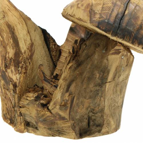 Floristik24 Huby slivkové drevo V27cm