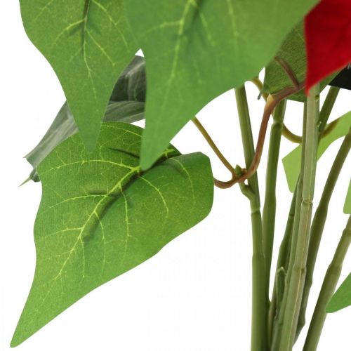 Floristik24 Umelá vianočná hviezda červená Umelé kvety v kvetináči V53cm