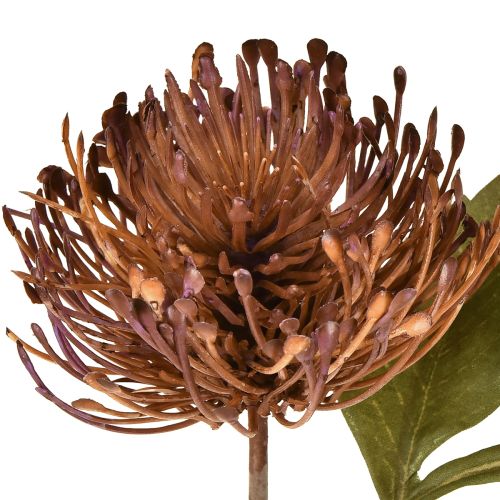 položky Umelý ihelníček Protea Leucospermum fialový 30 cm 6 ks