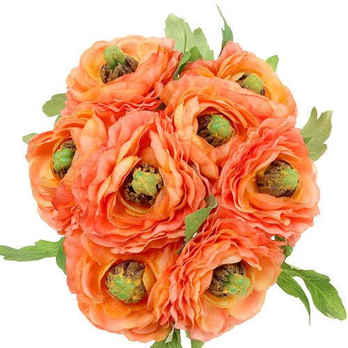 Floristik24 Ranunculus oranžová 27cm 8ks