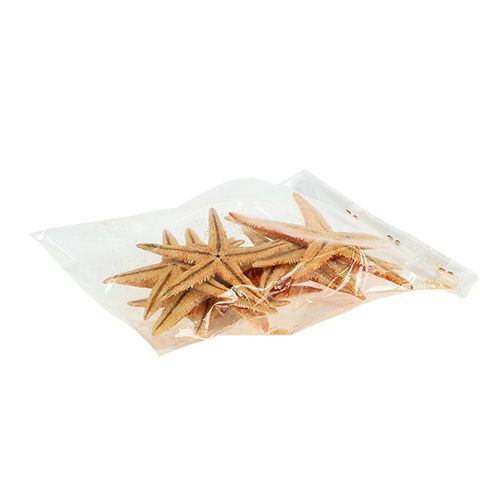 Floristik24 Hviezdice sušené 8cm - 10cm 10 ks