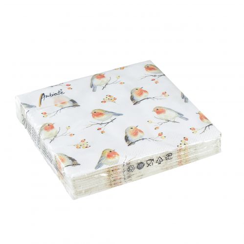 Floristik24 Obrúsky Jeseň Robin Rose Hips 25x25cm 20 ks