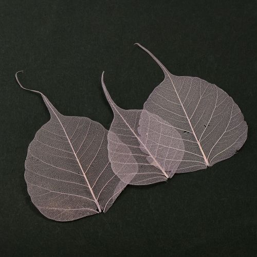 položky Kostrované listy Bodhi pre kreatívne dekorácie