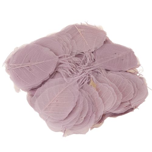 položky Kostrované listy Bodhi pre kreatívne dekorácie