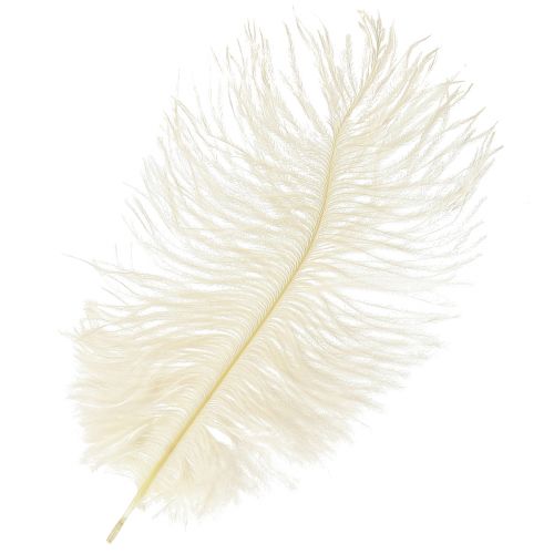 Vynikajúce krémovo biele ozdobné perie pštrosie perie biele 20-25cm 12ks.