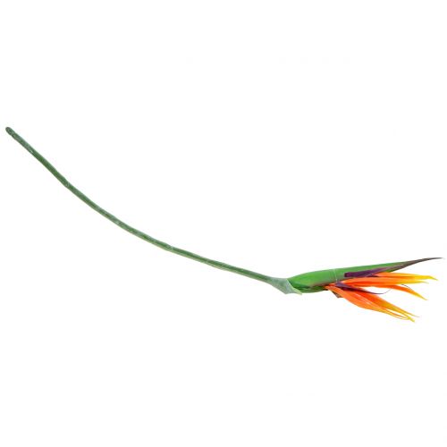 Floristik24 Strelitzia rajka kvet 95cm