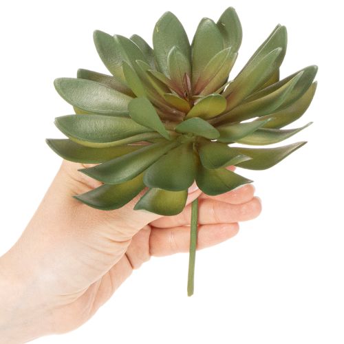 položky Umelý sukulent ako dekoračná rastlina, zelený, 18 cm, 3 kusy
