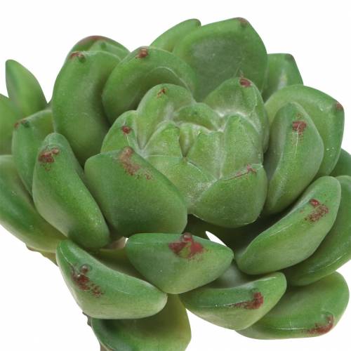 položky Šťavnatá Echeveria umelá zelená H15cm