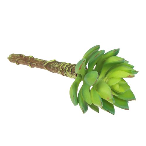 položky Šťavnatá Echeveria umelá zelená rastlina zelená Ø5,5cm 12,5cm