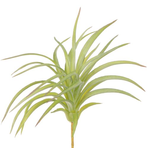 Tillandsia zelené umelé rastliny s palicou Ø17cm 3ks