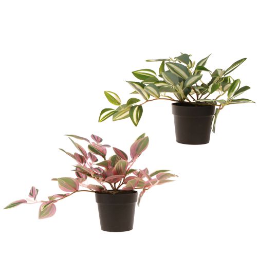 položky Tradescantia Umelá zelená rastlina v kvetináči H19,5cm 2ks