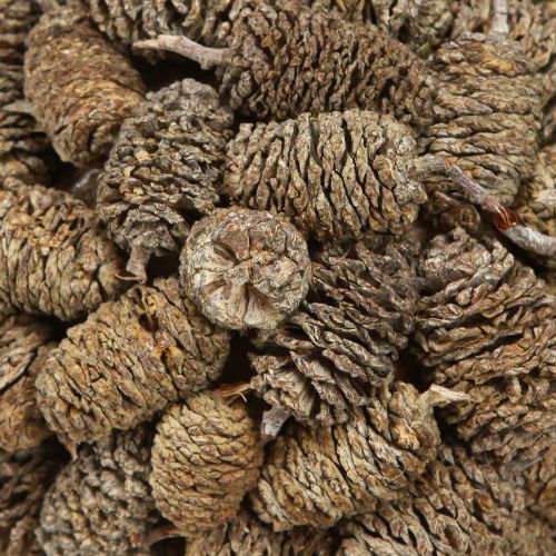 položky Kužeľová guľa na zavesenie jelšových šišiek, bielená 12 cm