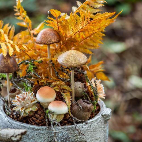 položky Bellgum zvonček ovocná tobolka ovocná prírodná dekorácia hnedá 500g