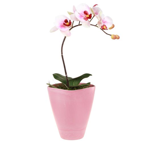 Kvetináč plastová váza kvetináč na orchideu ružový V16,5cm 4ks