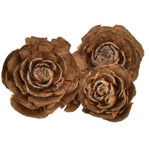 Šišky z cédra rezané ako ruža cédrová ruža 4-6cm prírodná 50ks