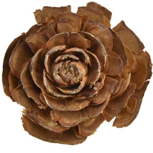 položky Šišky z cédra rezané ako ruža cédrová ruža 4-6cm prírodná 50 kusov.