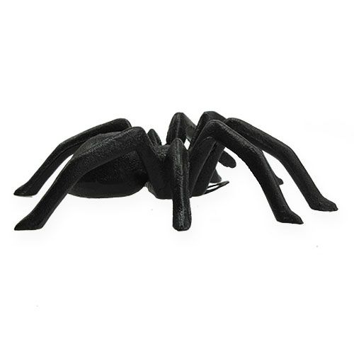 Floristik24 Pavúk tmavohnedý 13,5 cm