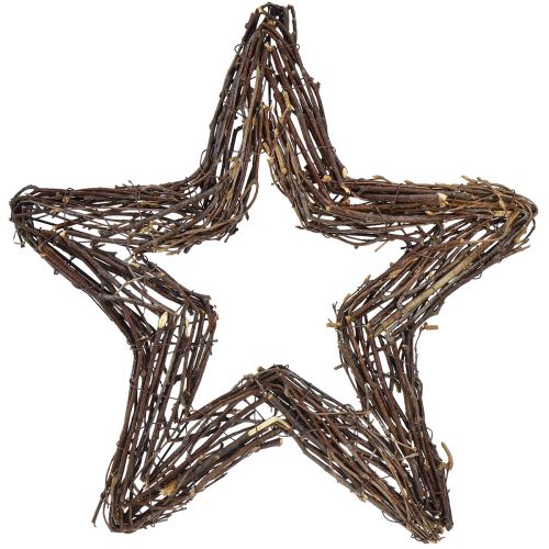 Dekoračné hviezdičky na zavesenie nástenná dekorácia vŕba príroda 40cm 2ks