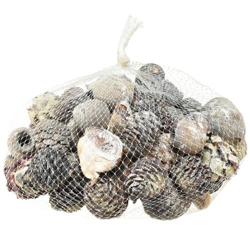 položky Exotické šišky Leucodendron biele prané 3-4cm 450g