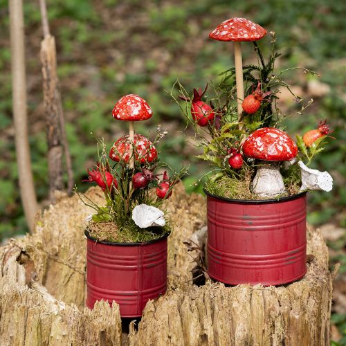 Floristik24 Muchotrávky na paličke, červené, 5,5 cm, sada 6 ks - dekoratívne jesenné huby do záhrady aj domov