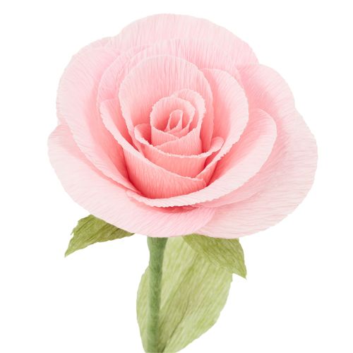 položky Krepový papier na kvetinárstvo, kvetinársky krepový, trávovozelený 50×250cm 5 ks