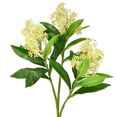 Umelé kvety krém Skimmia japonica Skimmie 45cm 2ks