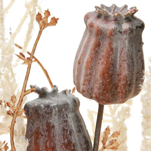 položky Makové struky, dekoratívne sušené kvety, umelá papraď, krémová, 63 cm – Elegantná dekorácia do domácnosti a na svadbu