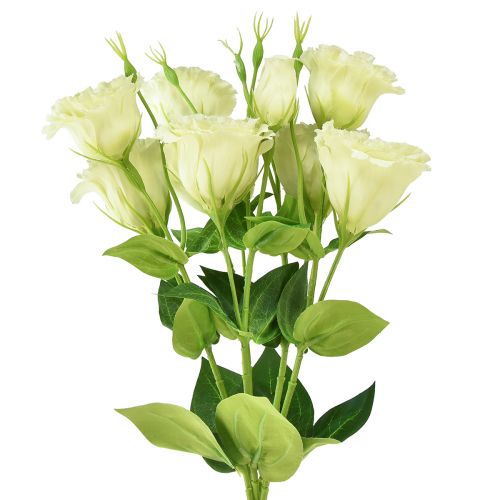Floristik24 Umelé kvety Eustoma Lisianthus žltozelená 52cm 5ks