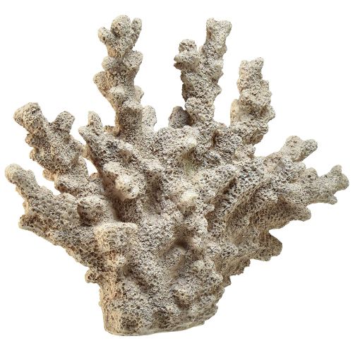 položky Detailná koralová dekorácia z polyresinu v sivej - 26 cm - námorná elegancia pre Váš domov