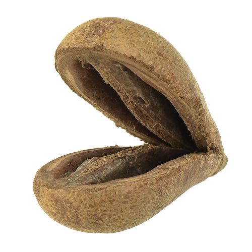 položky Mike Fruit Natural Materials Bagon Fruit Natural 8cm 50ks