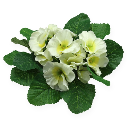 Floristik24 Umelé kvety prvosienka krémová