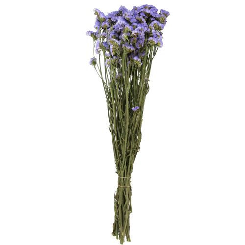 Floristik24 Morský orgován fialový Statice Limonium sinuatum Sušené kvety 60cm 50g