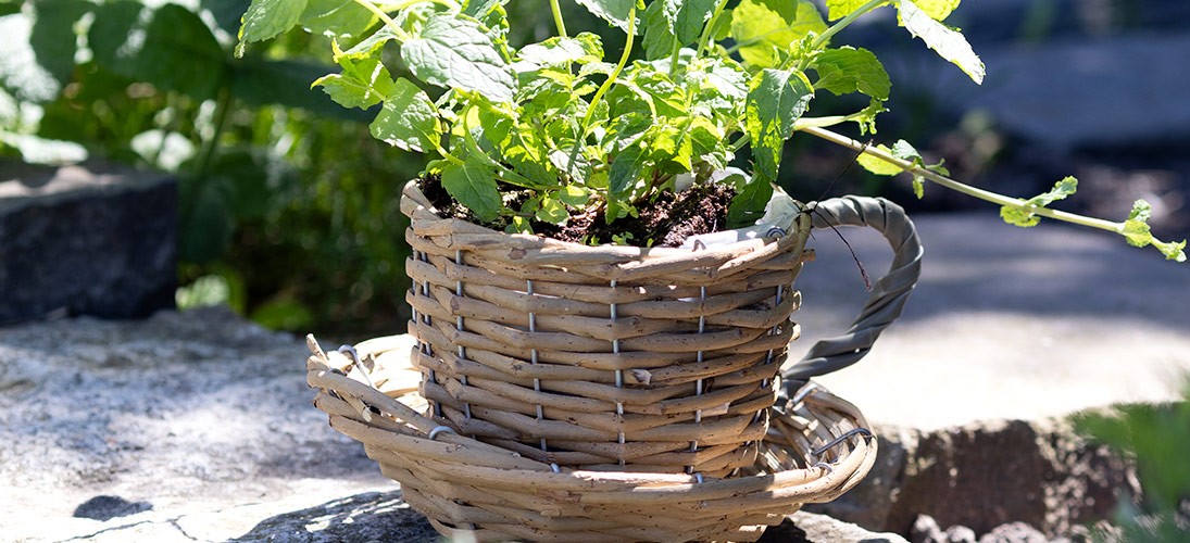 Košík a kvetináč