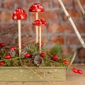Floristik24 Muchotrávky na paličke, červené, 4cm, sada 6 ks - okrasné záhradné huby na jesennú dekoráciu