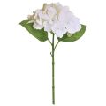 Floristik24 Hortenzie umelé biele umelé kvety kvety skutočného dotyku 33 cm