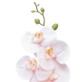 Floristik24 Umelá orchidea ružová Phalaenopsis Real Touch 83 cm