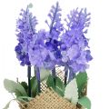 Floristik24 Umelá levanduľa umelý kvet levanduľa v jutovom vrecku biela/fialová/modrá 17cm 5ks