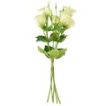 Floristik24 Umelé kvety Eustoma Lisianthus žltozelená 52cm 5ks