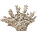 Floristik24 Detailná koralová dekorácia z polyresinu v sivej - 26 cm - námorná elegancia pre Váš domov