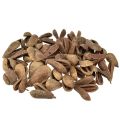 Floristik24 Mike Fruit Natural Materials Bagon Fruit Natural 8cm 50ks